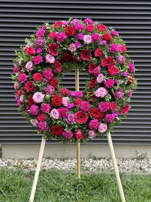 IMG_1195 IMG_1195