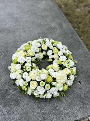 IMG_1242 IMG_1242