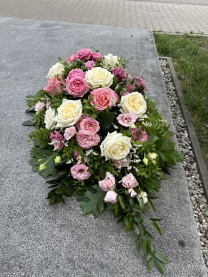 IMG_2383 IMG_2383
