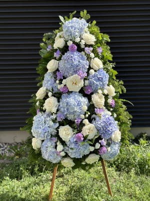 IMG_2484 IMG_2484