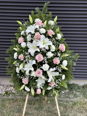 IMG_2680 IMG_2680