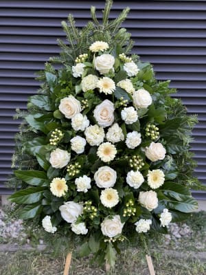 IMG_2686 IMG_2686