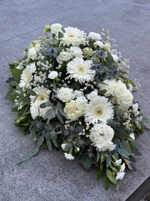 IMG_2887 IMG_2887