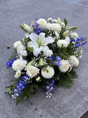 IMG_2892 IMG_2892