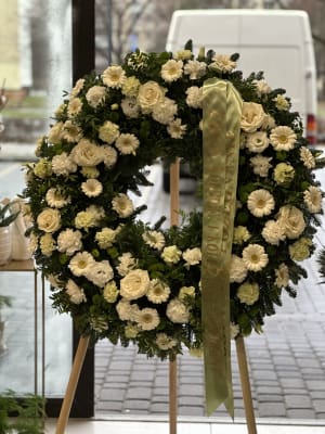 IMG_8950 IMG_8950