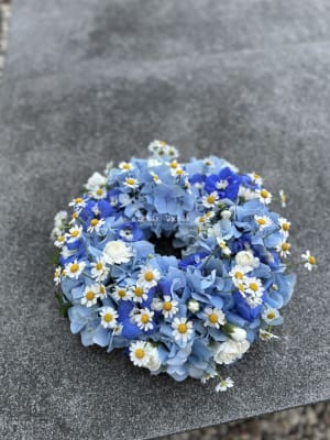 IMG_9491 IMG_9491