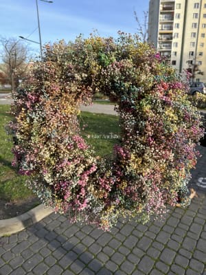 IMG_8165 IMG_8165